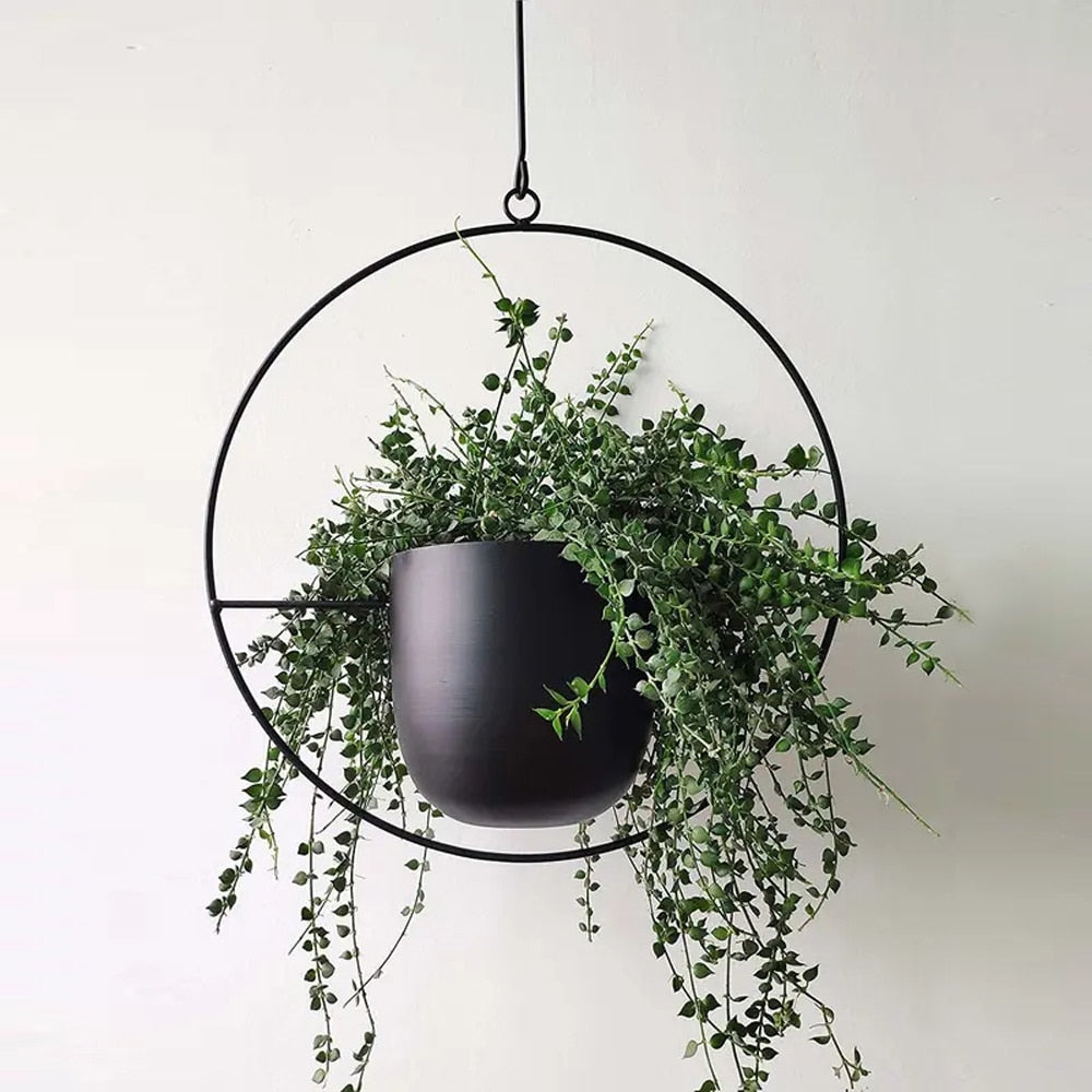 Iron Hanging Flower Pot 