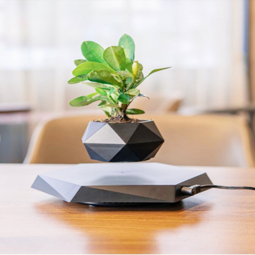 Floating Magnetic Levitating Flower Pot Bonsai  Air Plant Pot Planter Potted For Home Office Desk Decor Creative Gift